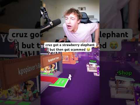 rip yin yang strawberry elephant