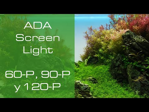 ADA Screen Light – PezVerde