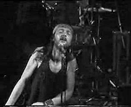 Dżem - Mała Aleja Róż