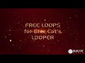Blue Cat's Axiom Looper: Free Loops