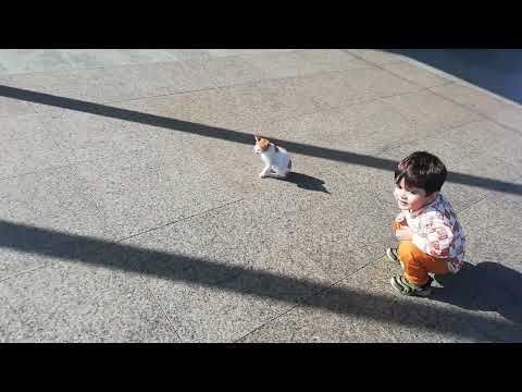 Qasim playing with cat.... 🐈