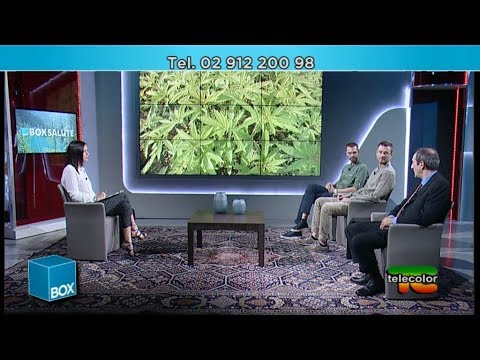 Canapa: risorsa o pianta fuorilegge? - 21.06.2019