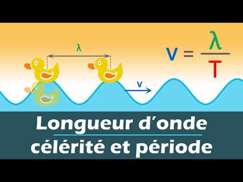 Ondes mécaniques périodiques - Longueur d'onde, célérité et période | Physique chimie | Lycée