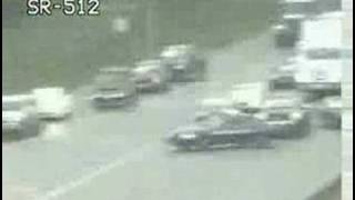 Cop helps duck family cross highway