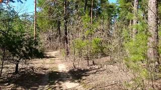preview picture of video 'Савранский лес, весенняя прогулка на велосипеде! ✨ Весна, солнце и тёплый воздух!'