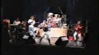 Mike Hill & After Eight live Screaming On The Beaches cover