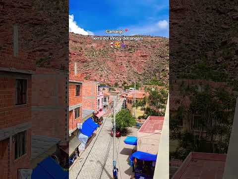 CAMARGO-CHUQUISACA #vino #singani