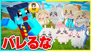 色んなちいかわキャラのフリしてドッキリマインクラフトwww【まいくら / マインクラフト】