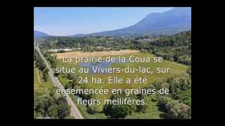 preview picture of video 'Contrat du lac du Bourget : témoignages à Viviers-du-lac'