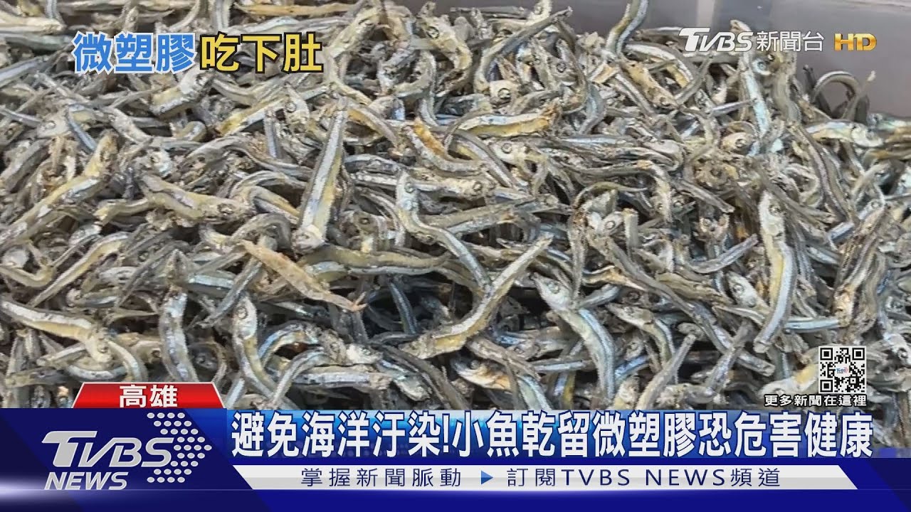 亞洲7國小魚乾含微塑膠! 中山大學研究日本含量最高