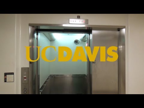 False 3 Speed Door! Armor Traction Service Elevator-East Tower-UCDMC-Sacramento, CA