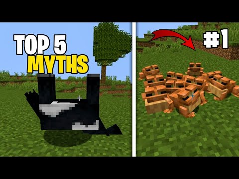 Venox Highlights - TOP 5 Secrets Minecraft Myths! 😱