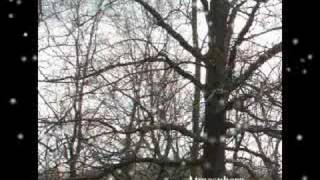 Rob Medley - Atmosphere - Arrival