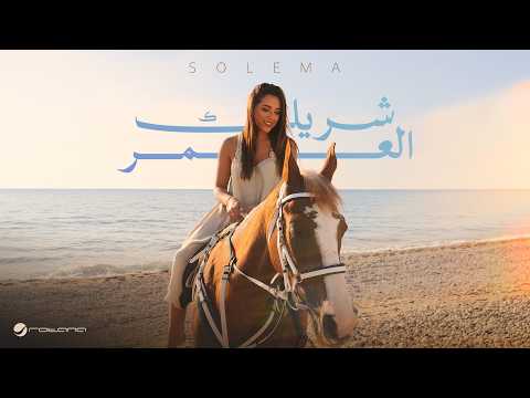 كلمات اغنية شريك العمر
