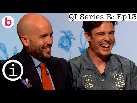 QI Series R Full Episode 13: R Animals | With Dr. Maggie Aderin-Pocock, Tom Allen and Ed Gamble