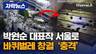 애널A : 박원순 전시장 작품 바퀴벌레 투성이