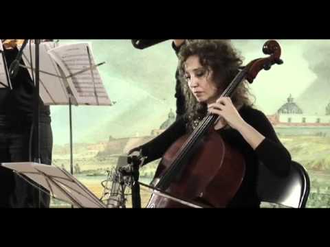 Mozart - Pequeña música nocturna 1º mov.