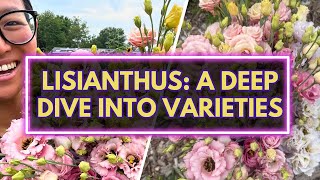 Lisianthus: Which varieties are worth growing?