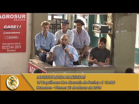 23-03-18 Venta de Vientres - Jauregui Lorda Haciendas - Brandsen