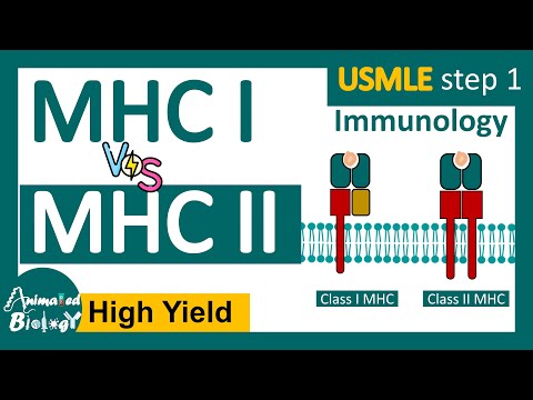 MHC class I vs Class II  | USMLE step 1 revision | Immunology
