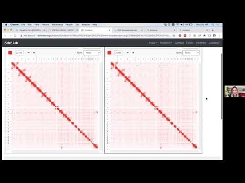 Juicebox on the Web Tutorial Part 6: Visualize from ENCODE website