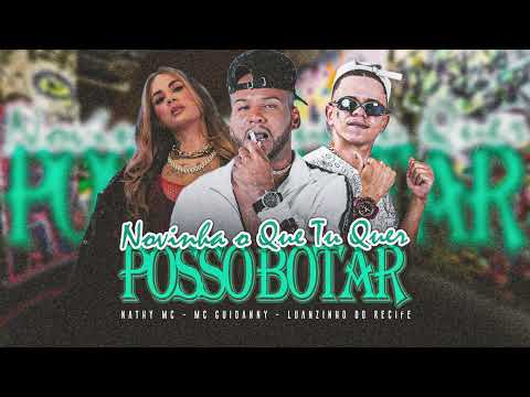 NOVINHA O QUE TU QUER, POSSO BOTAR - LUANZINHO DO RECIFE, NATHY MC, MC GUIDANNY