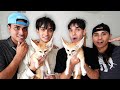 SURPRISING OUR TWIN BROTHERS WITH TWIN BABY FOXES