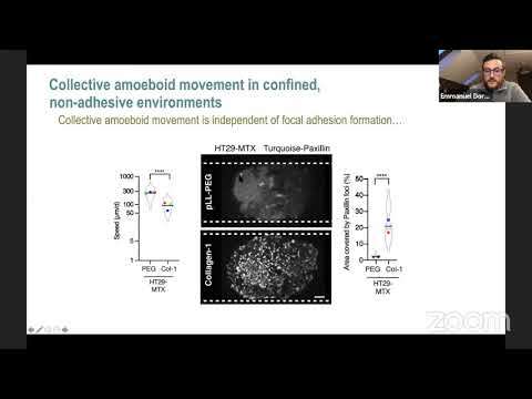 Cell Migration Seminar #27: Kandice Tanner & Emmanuel Dornier