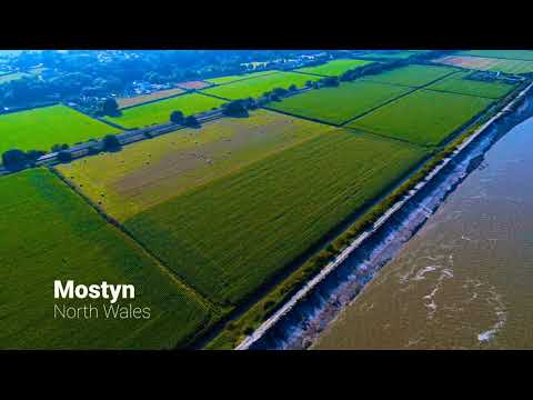 WhiteSky Media video.