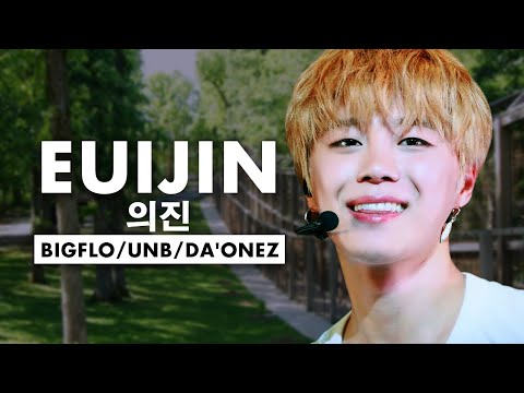 The Untold Truth About BIGFLO / UNB / DA'ONEZ Member - Lee Euijin 의진