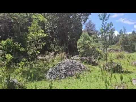 LOTE FINCA SANTASOFIA