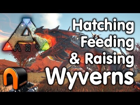 how to raise a wyvern, Do you need Wyvern milk to raise a Wyvern?, How do you grow a Wyvern?, What do you feed a baby Wyvern?, explanation and resolution of doubts, quick answers, easy guide, step by step, faq, how to
