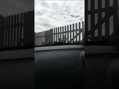 Vamos na casa da vovó e o vovô ❤️ Turvo PR #