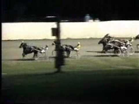 Breeders Crown Open Trot 1988 -Mack Lobell