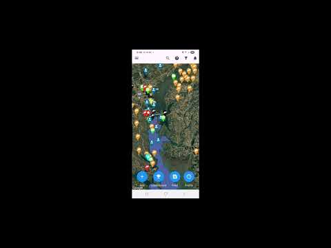 Hook Reports