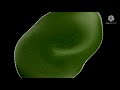 Preview 2 Chocolate Egg Effects In Q Major