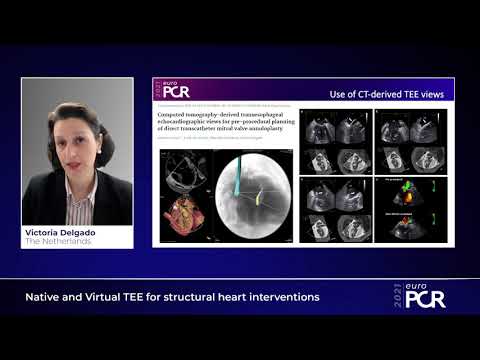 Native and Virtual TEE for structural heart interventions - EuroPCR 2021