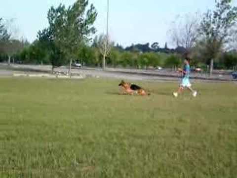 Dimba The Jomarguell - 24-03-08 Video 1