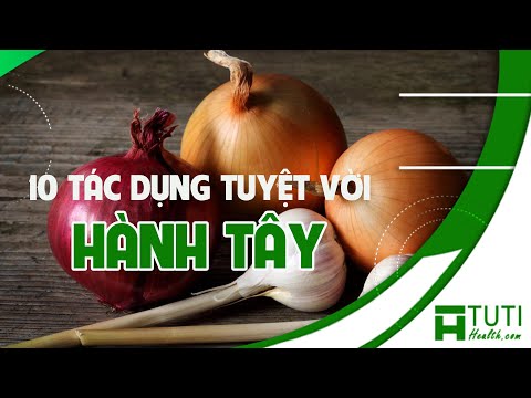 , title : '10 TÁC DỤNG CỦA HÀNH TÂY VỚI SỨC KHỎE KHÔNG THỂ BỎ QUA | ĂN HÀNH TÂY CÓ TỐT KHÔNG ?'