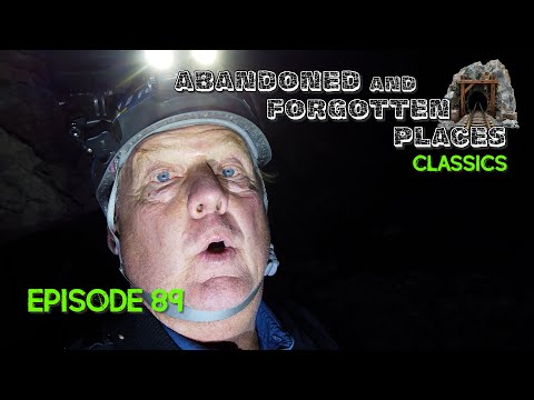 What We Found Was Absolutely Stunning!