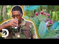From Cactus To Cocktails RARE Prickly Pear Brandy Moonshiners