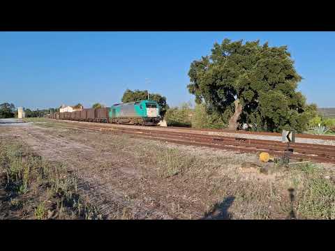 Comboio Especial n.º 98208/9 - Ponte de Sor