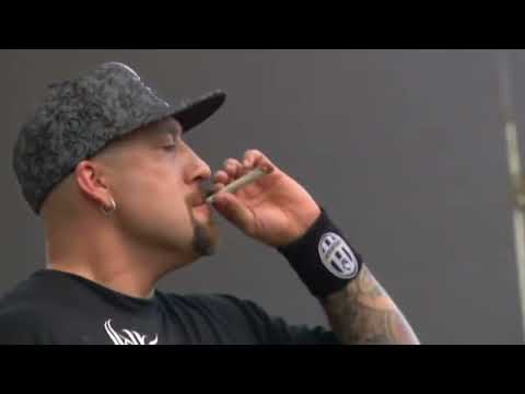 420 ft  Cyprerss Hill, Snoop Dogg, Topcat, Afroman (NO DJs)