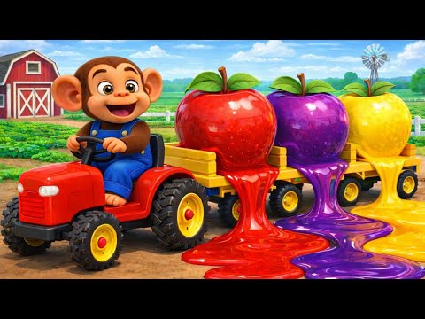 Apple Harvest Season!! Monkey Farmers Drive Tractors to Transport Apples Back to the Farm 🚜