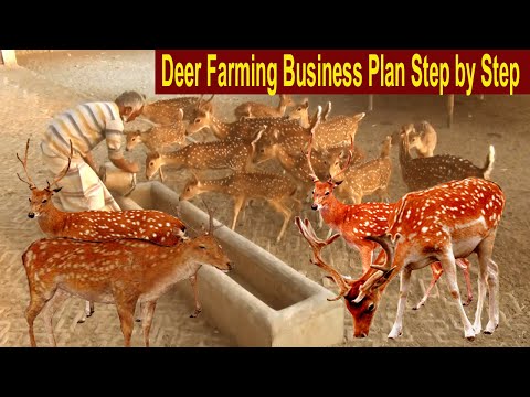 , title : 'How to Start Business Deer Farming - Deer Farm Business Plan Step by Step - Farming Business Ideas'