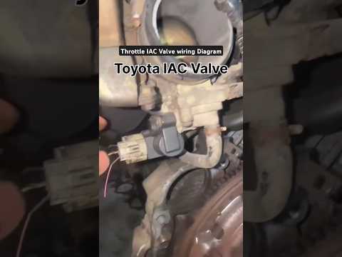 Wiring Diagram for Your Throttle IAC Valve