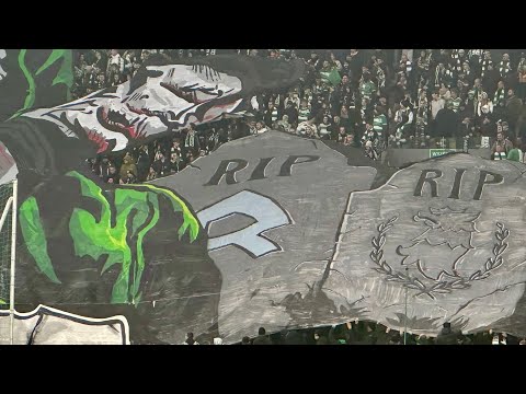"WHITE GREEN TERROR" - Ultras Lechia Gdańsk na meczu z Widzewem Łódź (08.11.2025)