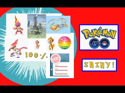 Muitos shiny,100%, raro dentro de casa, dia da comunidade e muito mais ! Pokémon Go!