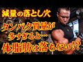 【減量の落とし穴】タンパク質量が多すぎると体脂肪が落ちない!?