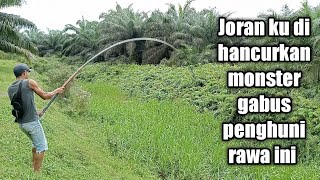 Download lagu The ferocity of this swamp-dwelling snakehead monster broke my fishing rod || fishing for snakehe... mp3